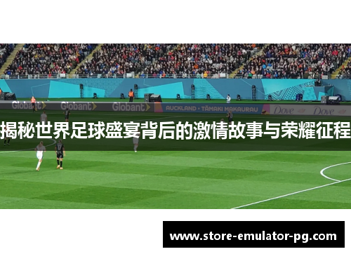 揭秘世界足球盛宴背后的激情故事与荣耀征程