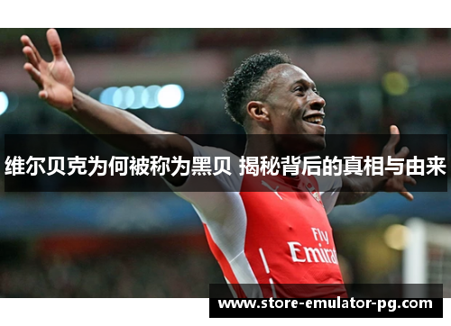 维尔贝克为何被称为黑贝 揭秘背后的真相与由来